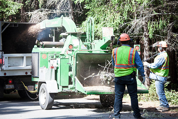 Best Grass Overseeding  in Norristown, PA